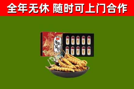 盐源回收冬虫夏草价格